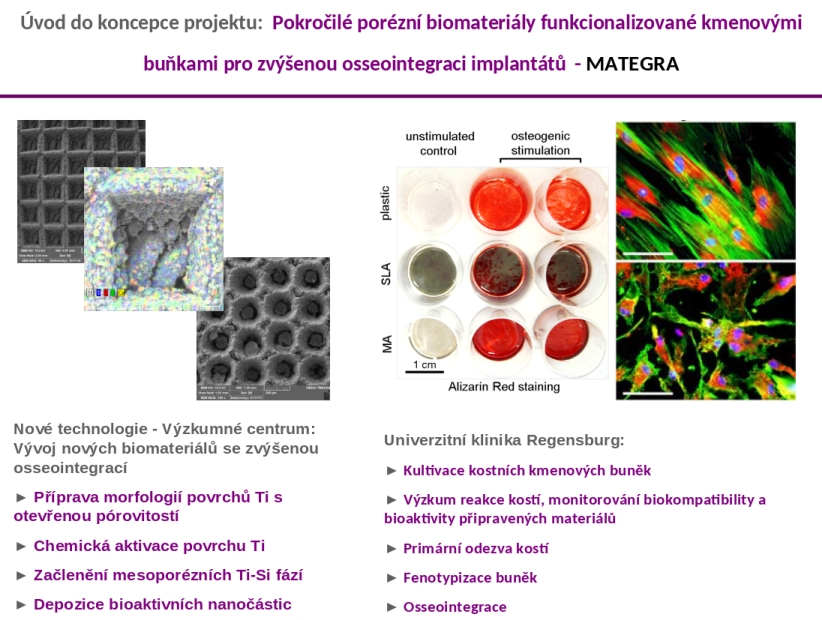 UWB online seminar - Porous biomaterials