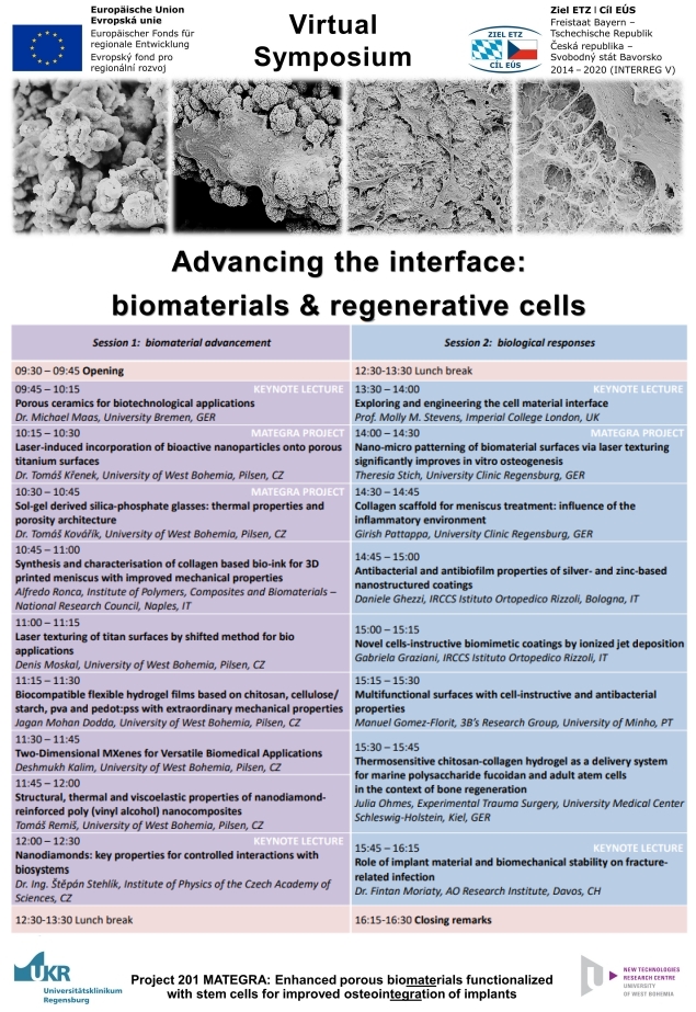 Virtual symposium poster programme