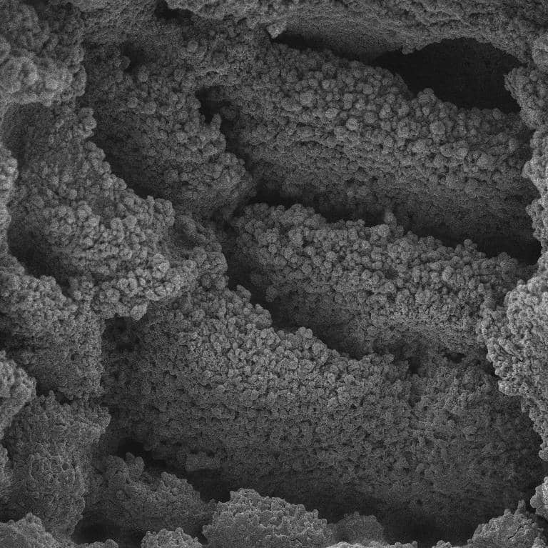 Laser textured titanium substrate