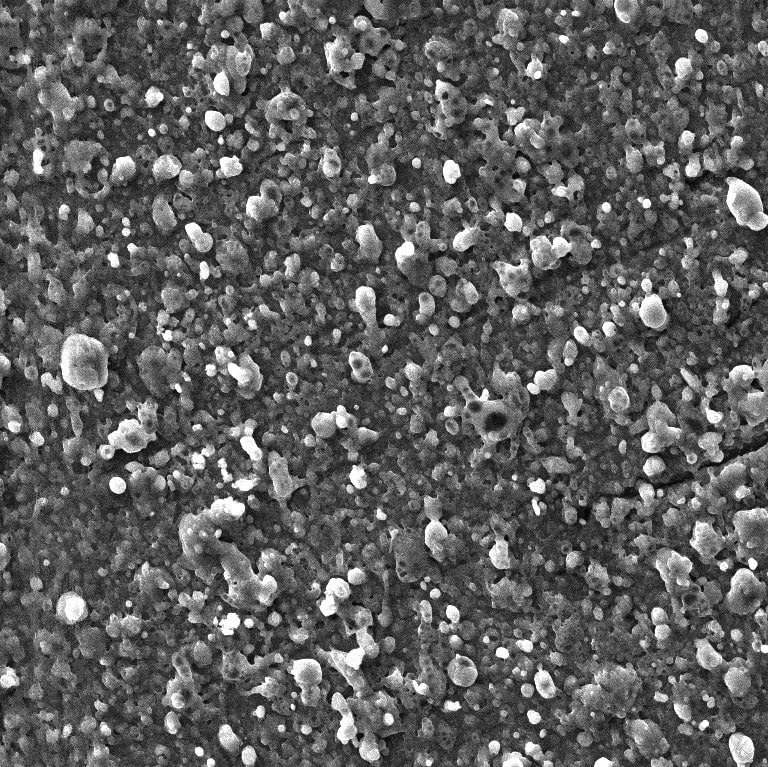 CaTiO<sub>3</sub> porous coating